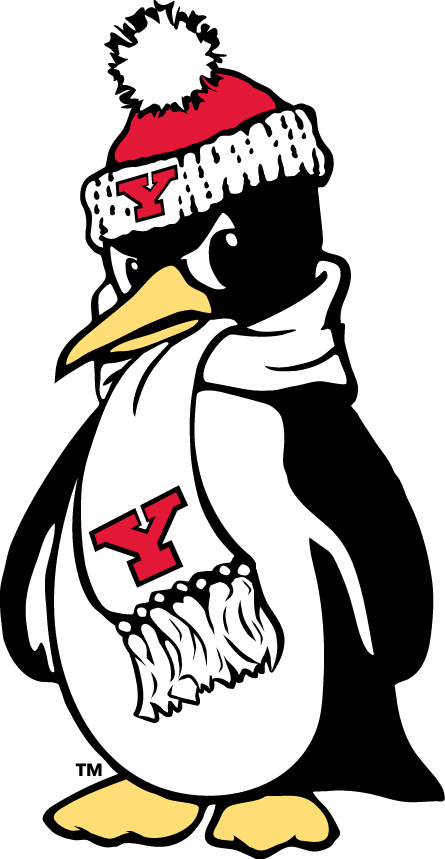 Youngstown State Penguins 1993-Pres Alternate Logo v4 iron on transfers for T-shirts